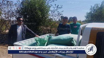 تموين الإسماعيلية يضبط طن ونصف دقيق بلدي مدعم قبل تهريبه للأسواق لتحقيق أرباح غير مشروعة 