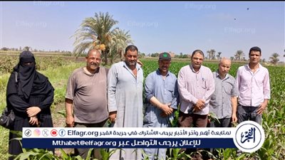 يوم حقل إرشادي بالفيوم عن الذرة الشامية في إطار مشروع ترشيد استهلاك المياه