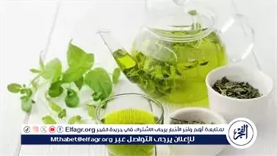 5 فوائد مذهلة للشاي الأخضر في العناية بالشعر.. يمنع التساقط ويعزز النمو