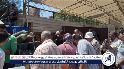 محافظ الدقهلية: استمرار انطلاق أسواق اليوم الواحد الجمعة والسبت كل أسبوع في المنصورة