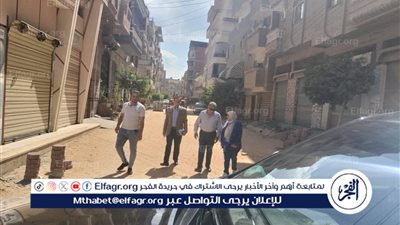 محافظ الدقهلية يتفقد أعمال تطوير عدد من شوارع بلقاس..صور
