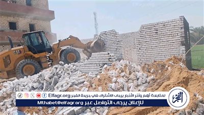 إزالة 238 حالة تعدٍ على الأراضي وأملاك الدولة بالمنيا 