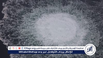  باتروشيف: التسريبات حول تحقيقات 