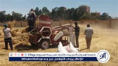 مصرع ربة منزل بعد فصل رأسها عن جسدها بماكينة زراعية في إهناسيا ببني سويف