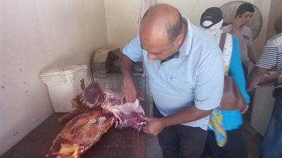 ضبط 7.7 طن لحوم ودواجن غير صالحة للاستهلاك في القليوبية