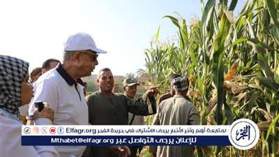 تزامنًا مع الاحتفال بـ “عيد الفلاح” محافظ المنيا يشارك مزارعي قرية الشعراوية بسمالوط حصاد المحاصيل الصيفية 