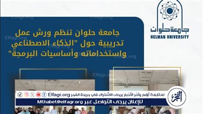 جامعة حلوان تنظم ورش عمل تدريبية حول 