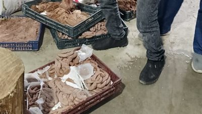 ضبط 3 أطنان برجر وسجق وعجينة كفتة ودهون حيوانية غير صالحة بمنشاة مخالفة بالهرم