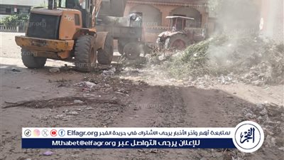 رفع 29 ألف طن مخلفات بلدية ونواتج هدم وبناء وتطهير خلال ثلاثة أيام في الدقهلية..صور