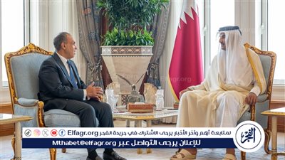 الخارجية تكشف تفاصيل لقاء بدر عبد العاطي بـ أمير دولة قطر