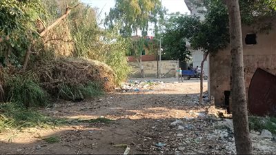 محافظ الإسكندرية يستجيب لـ 