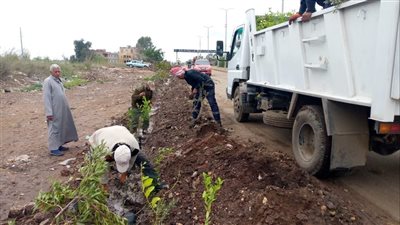 غرس 180 شجرة مثمرة وزينة بالمحلة الكبرى ضمن مبادرة 100 مليون شجرة