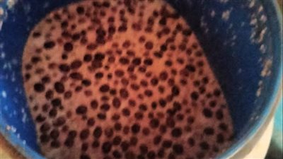 تموين الغربية تضبط 61 مخالفة في حملة رقابية وتُصادر سلعًا مغشوشة ومنتهية الصلاحية