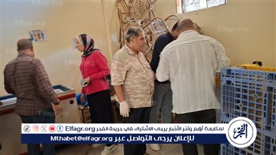  ضبط 75 مخالفة تموينية متنوعة، وضبط أطنان من الدقيق المدعم المخصص للمخابز بالفيوم 
