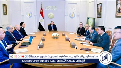 شراكة مصر الحديثة.. مشروعات الهيدروجين الأخضر وتوطين صناعة البطاريات مع الصين والنرويج