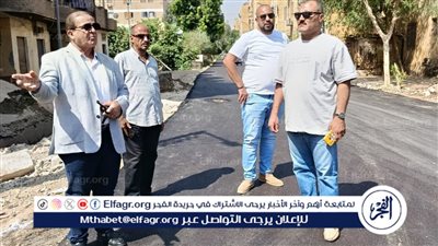 رئيس مدينة أرمنت بالأقصر يتفقد أعمال الرصف والتجميل بقرية الرياينة