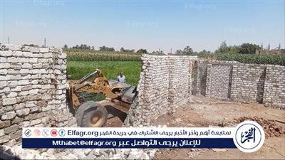 إزالة 33 حالة تعدي على الأراضي الزراعية وأملاك الدولة بأسيوط 