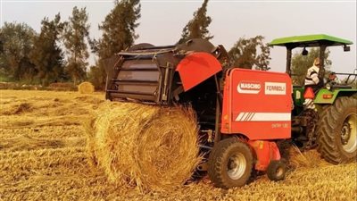 للقضاء على السحابة السوداء.. تجميع 12780 طن قش أرز منذ بداية الحصاد بالشرقية