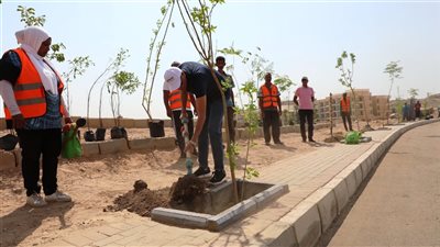 محافظ أسوان يطلق فعاليات حملة التشجير بطريق السادات