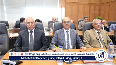 رئيس جامعة أسيوط يشارك في اجتماع المجلس الأعلى للجامعات الأهلية
