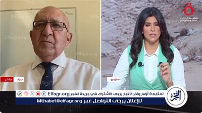 عضو لجنة أممية: على الدول التحرك لفرض عقوبات على إسرائيل بعيدًا عن مجلس الأمن (فيديو)