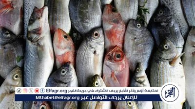 اسعار الاسماك اليوم الأربعاء الموافق 17-9-2025 فى سوهاج