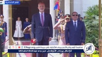 عاجل- الرئيس السيسي وقرينته يتبادلان الأوسمة الأعلى مع ملك وملكة إسبانيا تعزيزا للعلاقات التاريخية