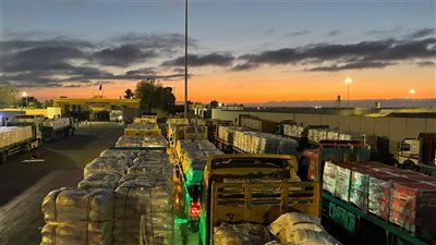 الهلال الأحمر المصري يدفع نحو 1700 طن من المساعدات الغذائية والإغاثية عبر قافلة «زاد العزة» الـ 39 إلى غزة