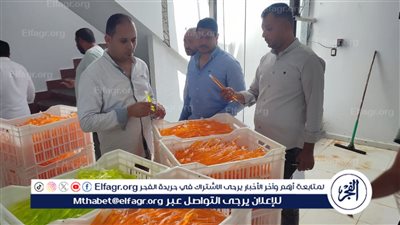 حملات تموين الفيوم تنجح في تحرير 1305 محضرًا تموينيًا متنوعًا بمختلف المراكز والقرى