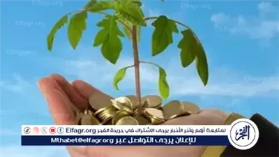 تيسيرات وتسهيلات لترخيص المشروعات الصغيرة وفقًا للقانون الجديد