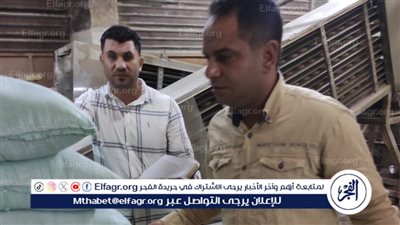 محافظ الدقهلية: ضبط 7 طن ملح ولحوم وأغذية متنوعة، وتحرير 708 مخالفة بالأسواق والمخابز خلال أسبوع