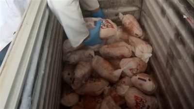 ضبط نصف طن لحوم ودواجن وأسماك غير صالحة للاستهلاك الأدمى بالغربية