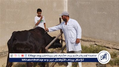 الطب البيطرى بالإسماعيلية: تكثيف التفتيش على الصيدليات ومواصلة التحصين ضد الحمى القلاعية
