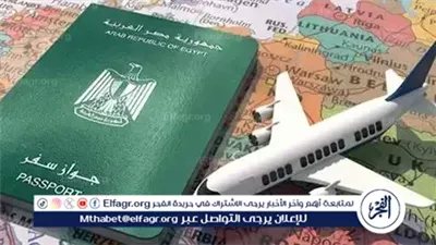 للمصريين في الخارج.. خطوات عاجلة يجب اتباعها عند فقدان جواز السفر في الغربة
