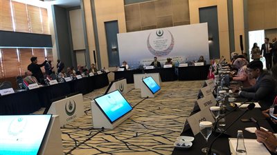 التضامن الاجتماعي تمثل مصر في اجتماع 