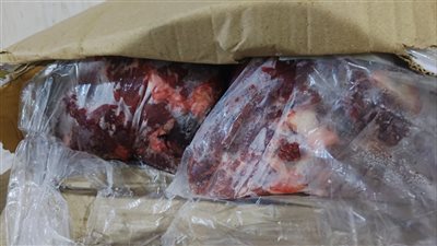 ضبط 1.7 طن لحوم فاسدة بحملة تموينية في المحلة الكبرى