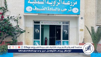 حماية البحيرات يعلن إنجازًا نوعيًا بتجديد مزرعة الزاوية السمكية وإنشاء مركز تدريبي متكامل بكفر الشيخ
