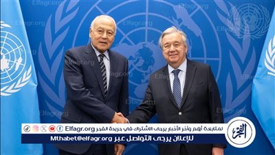 أبو الغيط يبحث مع الأمين العام للأمم المتحدة حرب غزة وتطورات فلسطين