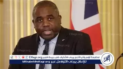 الاعتراف بدولة فلسطين.. نائب رئيس الوزراء البريطاني يربطه بعملية سلام شاملة