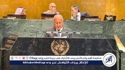 أبو الغيط في مؤتمر حل الدولتين: الاعتراف بفلسطين مسار لا رجعة عنه