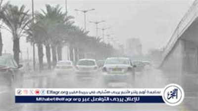 أمطار وشبورة تصل لحد الضباب.. الأرصاد توجه نصائح للمواطنين بشأن حالة الطقس 