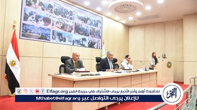 اللجنة التنسيقية للمجلس القومي للسكان برئاسة اللواء مجدي الوصيف