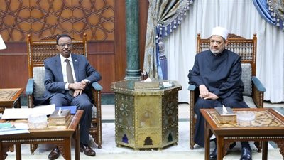 شيخ الأزهر يستقبل وزير التعليم العالي والبحث العلمي السوداني