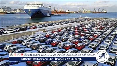 عضو شعبة السيارات: أسعار السيارات انخفضت بسبب استقرار العملة