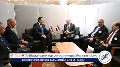 عاجل- رئيس مجلس القيادة الرئاسي اليمني يشيد بالدور التاريخي لمصر في دعم استقرار اليمن