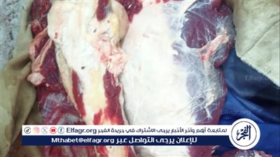 ضبط لحوم مذبوحة خارج المجازر وتحرير 343 محضرًا متنوعًا فى أسيوط 