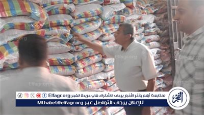 محافظ أسيوط يكلف وكيل وزارة الزراعة بمتابعة توافر التقاوى بالمحافظة 