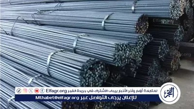 أسعار الحديد في المنيا اليوم الخميس 25 سبتمبر 2025