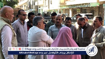محافظ الدقهلية في زيارة مفاجئة لقريتي الضهرية ودنجواي بشربين..صور 