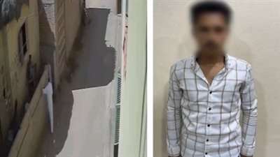 كشف ملابسات مشاجرة بين شخصين بالأسلحة في الدقهلية